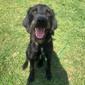 Meet your Posher, Komal